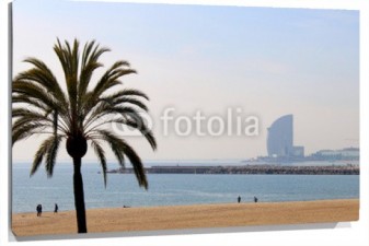 Lienzo Palmera en playa